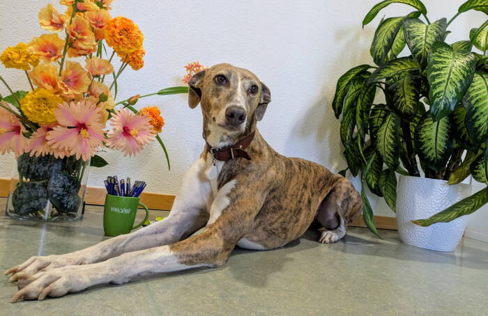 solana.jpg solana.jpg